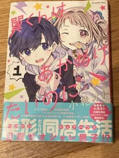 翼くんはあかぬけたいのに 1のサムネイル