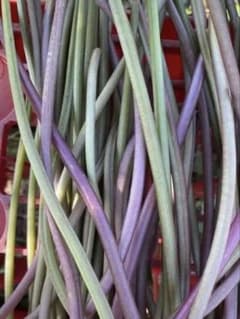 さつまいもの茎 芋づる 新鮮 収穫したて４００グラムのサムネイル