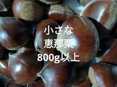 小さな恵那栗(800g以上)のサムネイル