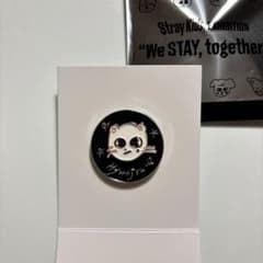 値引き‼️Stray Kids SKZOO ランダム ピンバッジ ジニレットのサムネイル