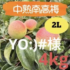 56 YO:)#様　中熟南高梅　2Lサイズ　4kgのサムネイル