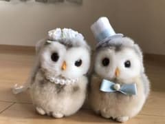ウェルカムドールのサムネイル