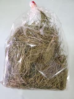 無農薬乾燥スギナ茶　３０g少し多めのサムネイル