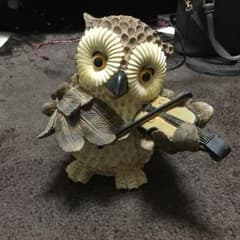 専用！！のサムネイル