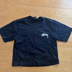 ステューシーTシャツのサムネイル