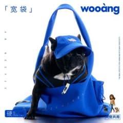wooàng 青い犬用キャリーバッグ wooàng 青い犬用キャリーバッグ - メルカリ