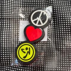 ばーし様専用　ズンバ  マグネットピン　新品未使用のサムネイル