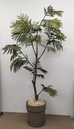 人工観葉植物 インテリア エバーフレッシュ 展示品(O-2601FB15) - メルカリ