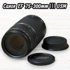 Canon 望遠レンズ EF 75-300mm Ⅲ USM #163 - メルカリ