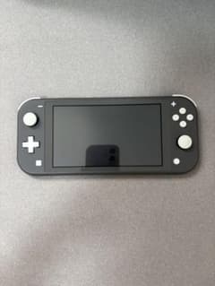Nintendo Switch Lite 本体 グレー　カセット付きのサムネイル