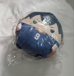 くじメイト ハイキュー‼︎ ぬいくじ ふわコロりん C賞 影山飛雄 - メルカリ
