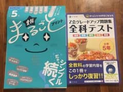 小学5年生問題集☆2冊のサムネイル