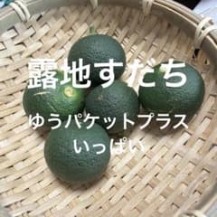 露地すだち ゆうパケットプラスいっぱいのサムネイル