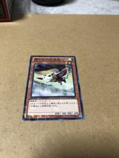 遊戯王 霞の谷の幼怪鳥のサムネイル