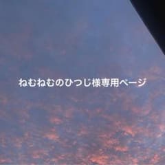専用ページのサムネイル