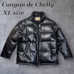 美品】Canyon de Chelly レザーダウンジャケット - メルカリ