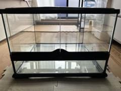 ごま様専用【引き取り限定】爬虫類飼育セット（フトアゴ、レオパ）兵庫