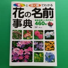色と咲く順でわかる!花の名前事典 : 最新品種+人気の花々460種のサムネイル