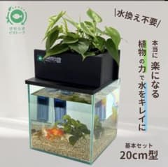 玻璃魚缸 | Buyee日本代購服務 | 於Mercari購物