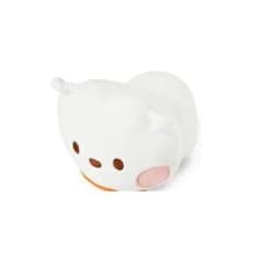 BT21 공식 상품 minini 쁘띠 쿠션 RJ / BTS4