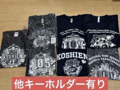 【キーホルダーおまけ有】甲子園記念Tシャツ まとめ売り キーホルダーおまけ有】甲子園記念Tシャツ まとめ売り - メルカリ