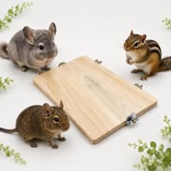 小動物用 木製ステージ ステップ 踏み台 ケージ取り付け - メルカリ