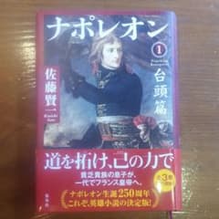 ナポレオン 1 台頭篇のサムネイル