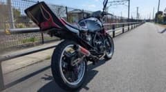 m73098110372_1.jpg?1746857904