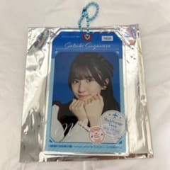 스가와라 사키즈키 노기자카 46 모바일 NOGI 넘김 A상 아크릴 키홀더