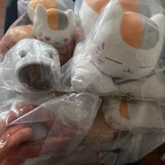 고양이 인형 세트