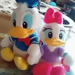 ドナルド デイジーのサムネイル