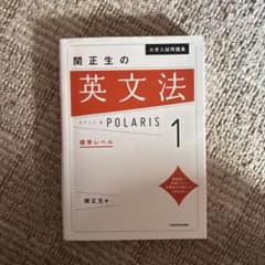 大学入試問題集 関正生の英文法ポラリス[1 標準レベル]のサムネイル