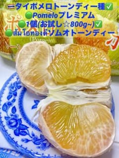 先行予約販売 　タイ産ポメロ一箱12ｋｇ m73102756405_1.jpg?1722089008