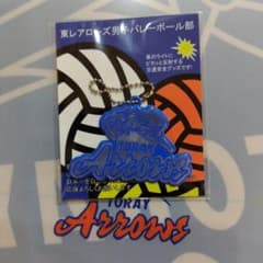東レアローズ  クリアファイル・キーホルダーのサムネイル