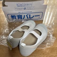 【新品】教育バレーシューズDXのサムネイル