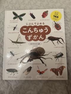 美品　じぶんでよめる こんちゅうずかんのサムネイル