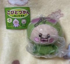 こびとづかん のぬいぐるみ ボールチェーン付きのサムネイル