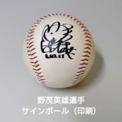 m73109674829_1.jpg?1748257790