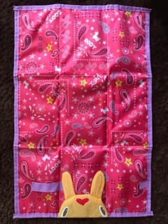 オムツ替えマット Rody✩︎⡱のサムネイル
