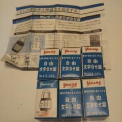 ヤング 自由文字合わせ錠 6個