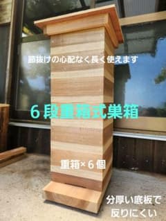 熟練大工作製、柾目板使用で重箱の節抜けの心配なし、日本蜜蜂6段重箱