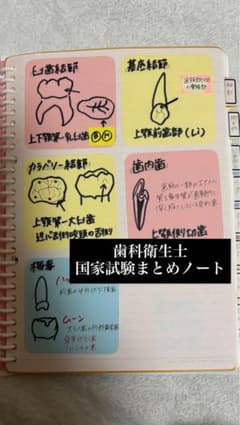 歯科衛生士国家試験まとめノート　原本 歯科衛生士 国家試験まとめノート - メルカリ