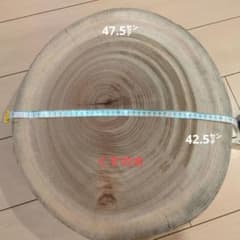 くすの木 直径47.5 42.5 センチ 高さ10センチ - メルカリ