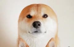 はぎわらはゲイのサムネイル