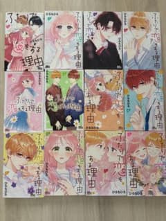ふたりで恋をする理由 全13巻のサムネイル