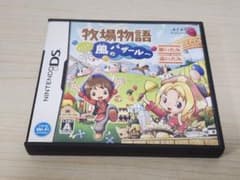 牧場物語 ようこそ！風のバザール DSソフトのサムネイル