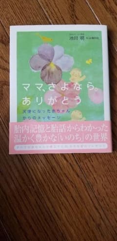ママ、さよなら。ありがとう : 天使になった赤ちゃんからのメッセージのサムネイル