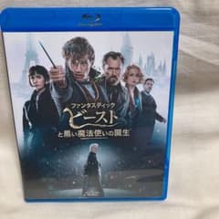 ファンタスティック・ビーストと黒い魔法使いの誕生 ブルーレイ&DVDセット('…のサムネイル
