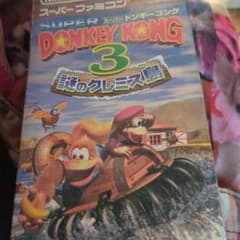 SUPER DONKEY KONG 3 슈퍼 패미컴