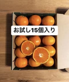 おばあちゃんのみかん〜お試し15個入〜のサムネイル